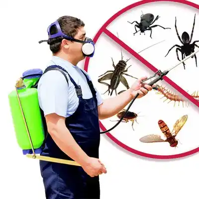 pest control Piney Point